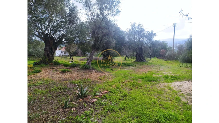 Terreno para Venda em Loule (São Clemente) Foto 9