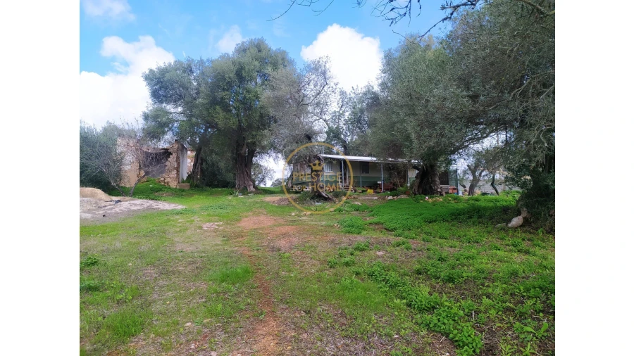Terreno para Venda em Loule (São Clemente) Foto 17