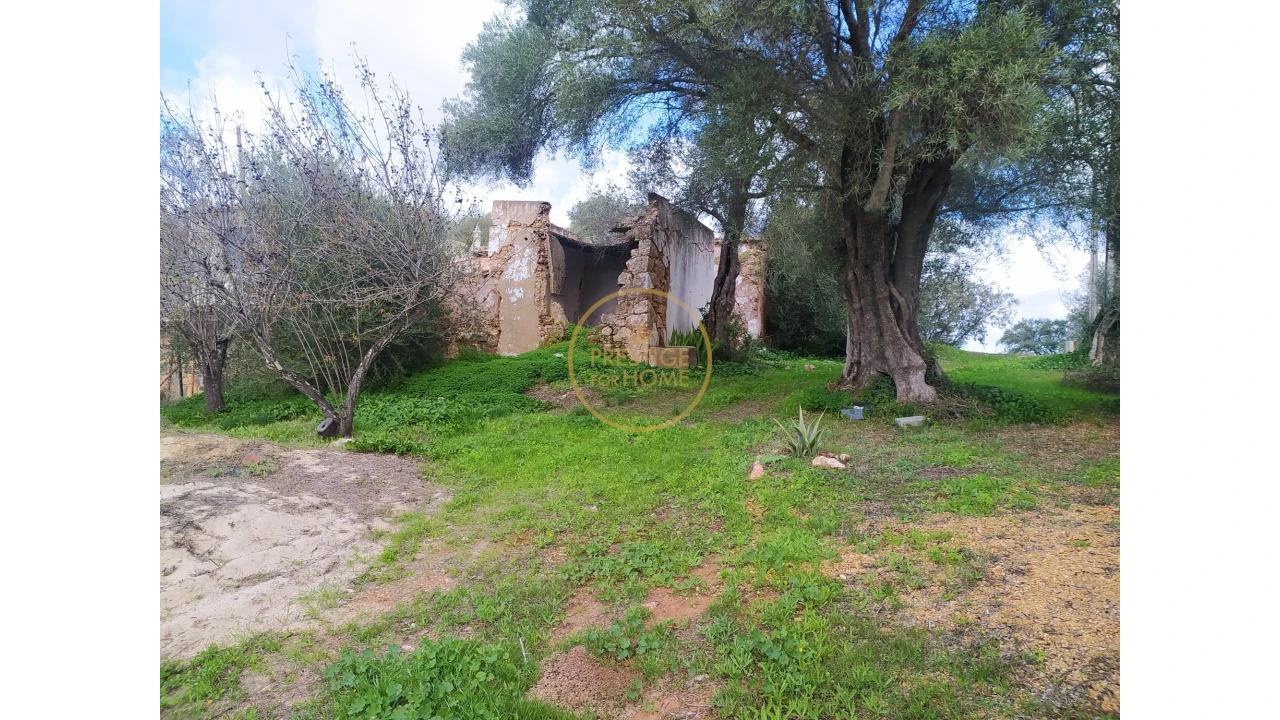 Terreno para Venda em Loule (São Clemente) Foto 2