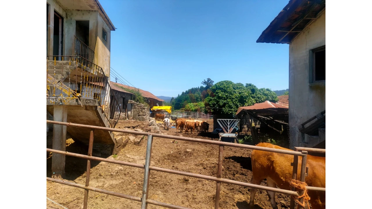 Quinta T4 para Venda em Nevogilde Foto 7