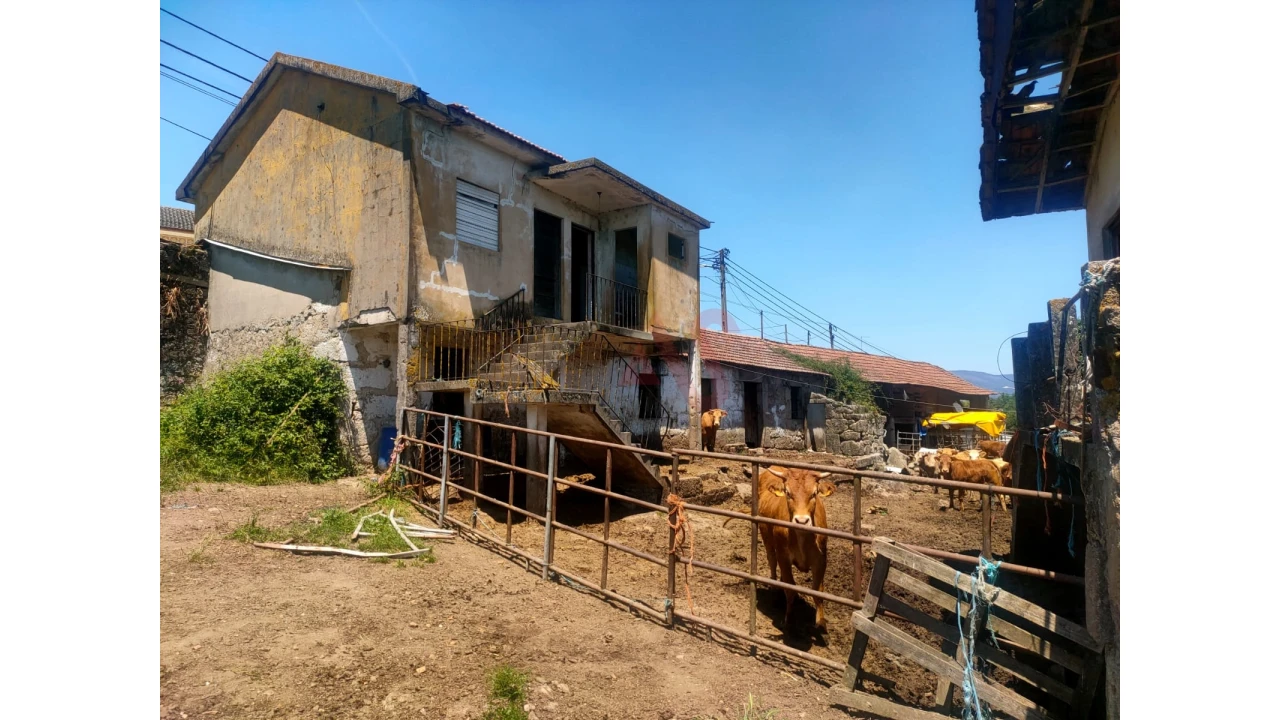 Quinta T4 para Venda em Nevogilde Foto 5