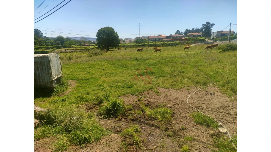 Quinta T4 para Venda em Nevogilde Foto 3