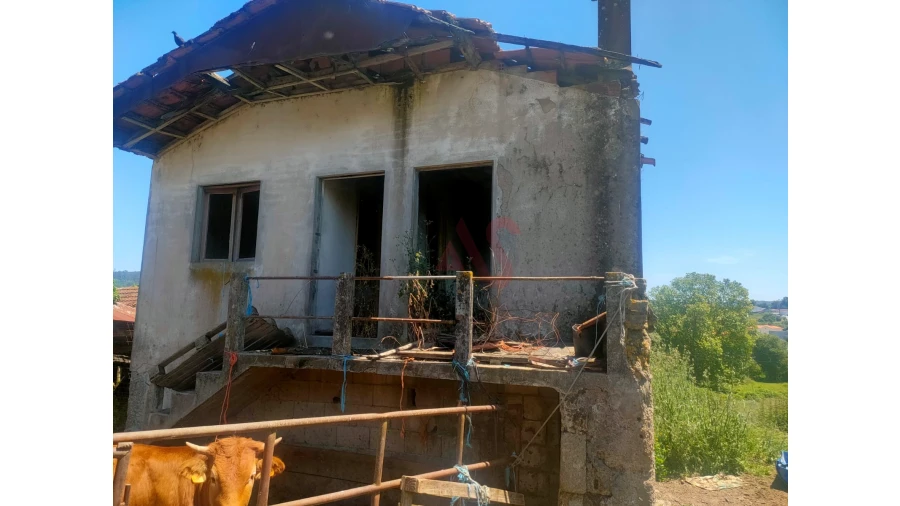 Quinta T4 para Venda em Nevogilde Foto 6