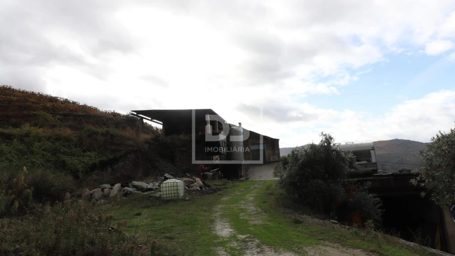 Quinta T
     para Venda em Lousa Foto 2