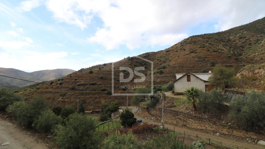 Quinta T
     para Venda em Lousa Foto 3