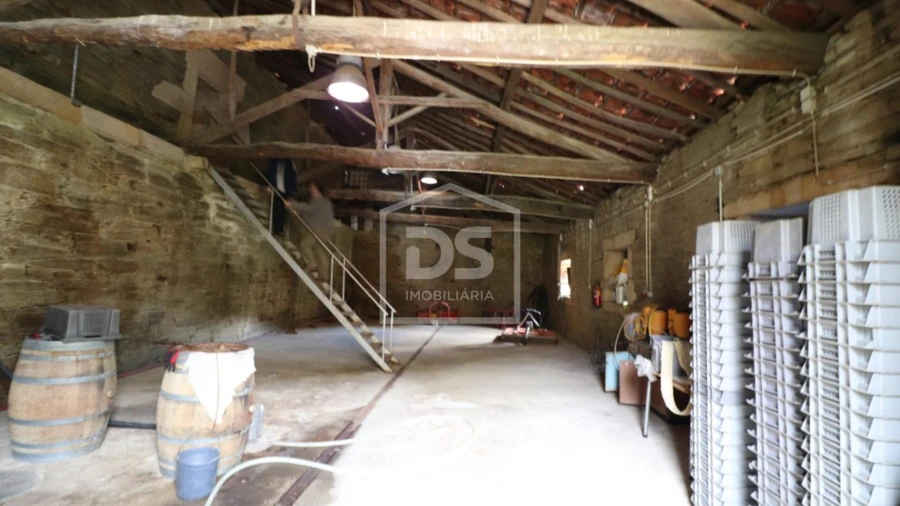 Quinta T
     para Venda em Lousa Foto 4