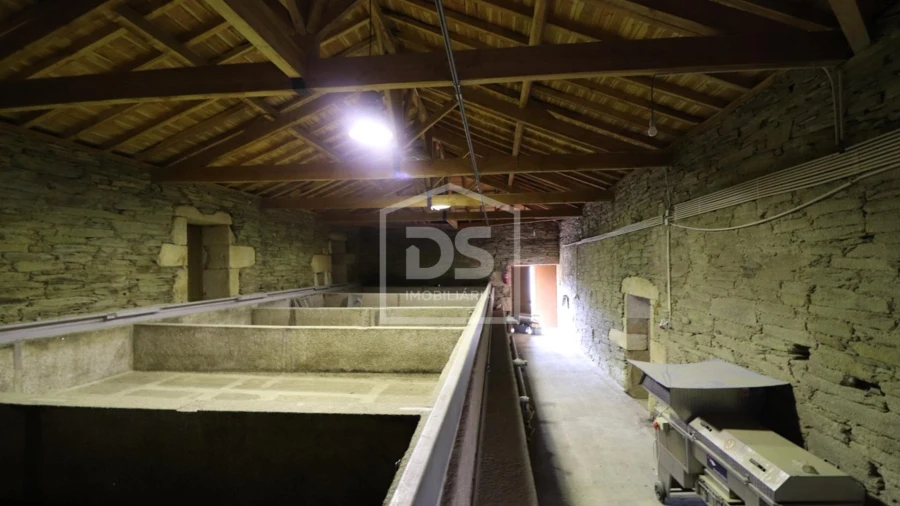 Quinta T
     para Venda em Lousa Foto 5