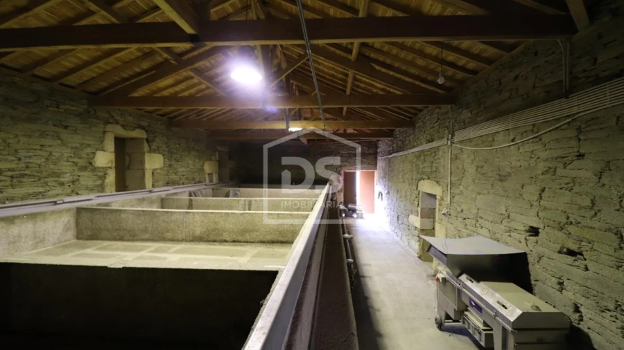 Quinta T
     para Venda em Lousa Foto 6