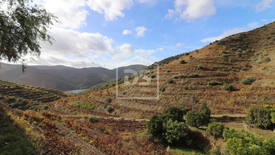 Quinta T
     para Venda em Lousa Foto 14