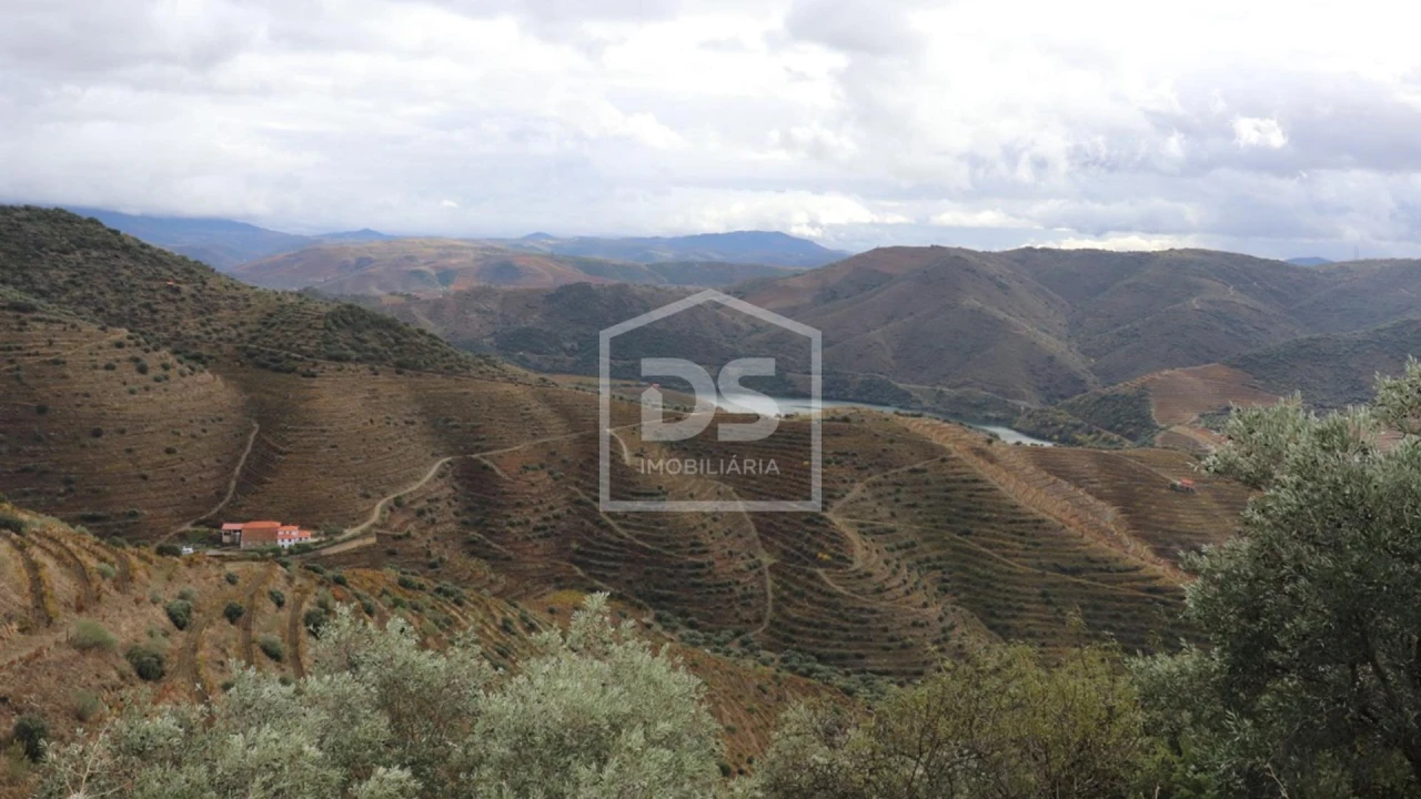 Quinta T
     para Venda em Lousa Foto 1