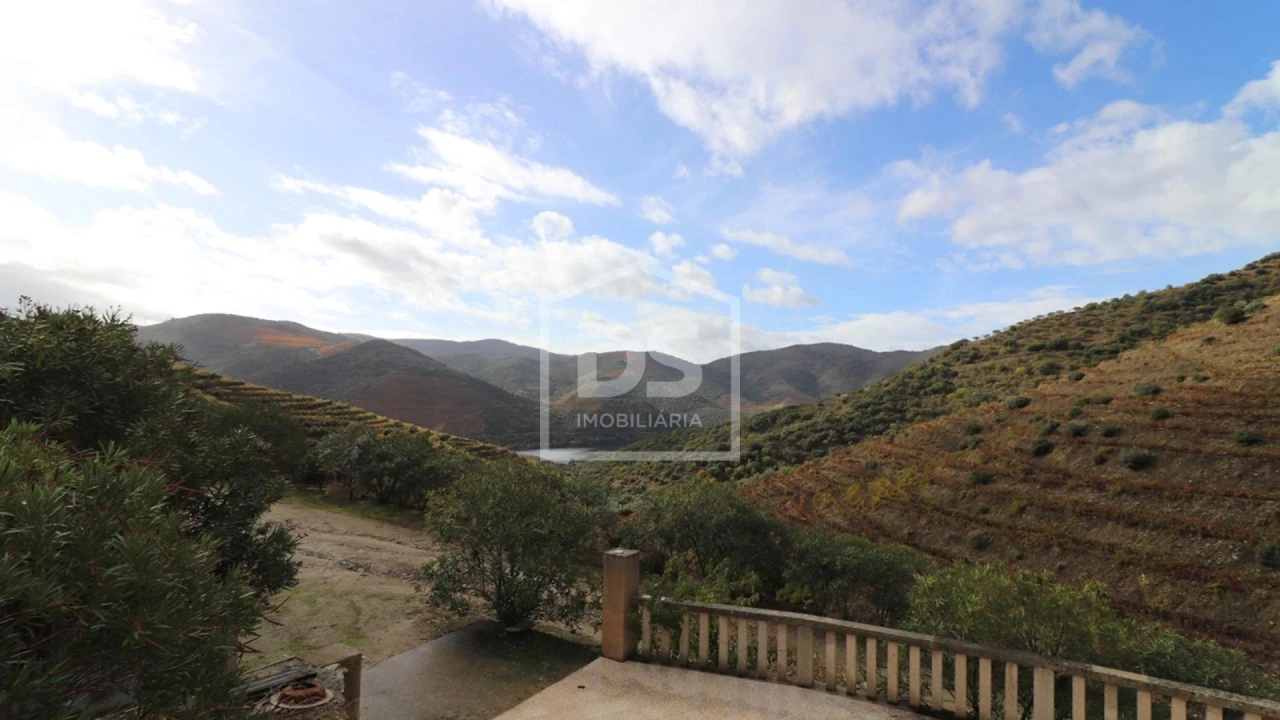 Quinta T
     para Venda em Lousa Foto 10