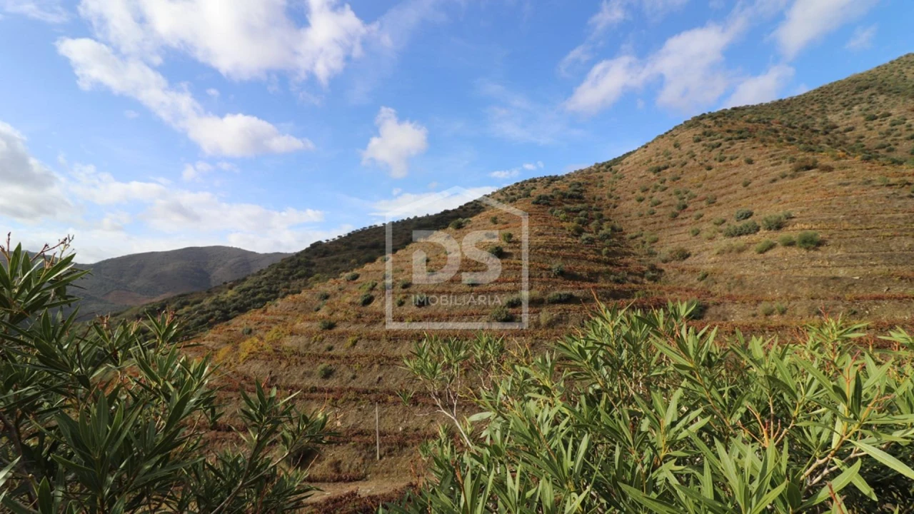 Quinta T
     para Venda em Lousa Foto 12