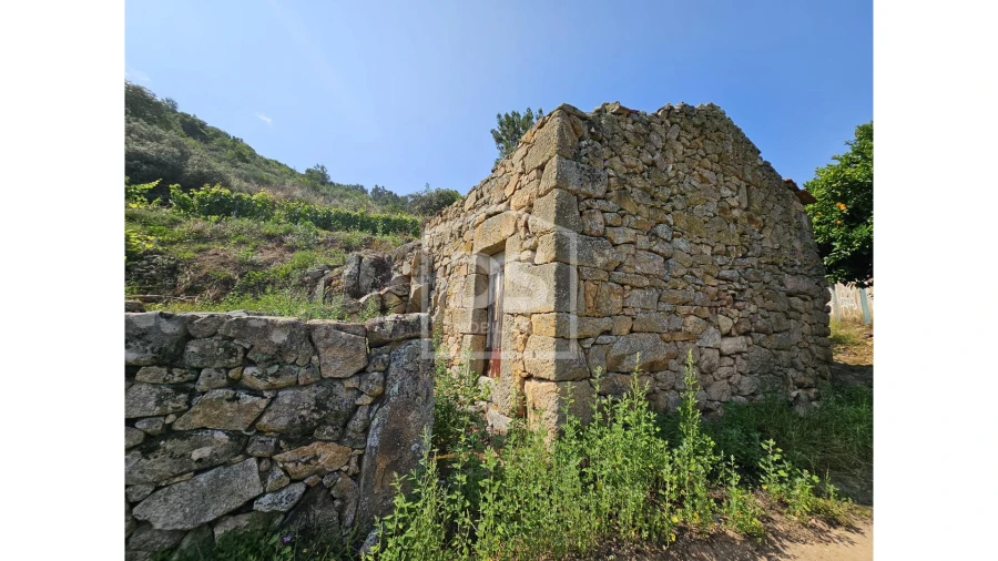 Quinta T0 para Venda em Varzea de Abrunhais Foto 6