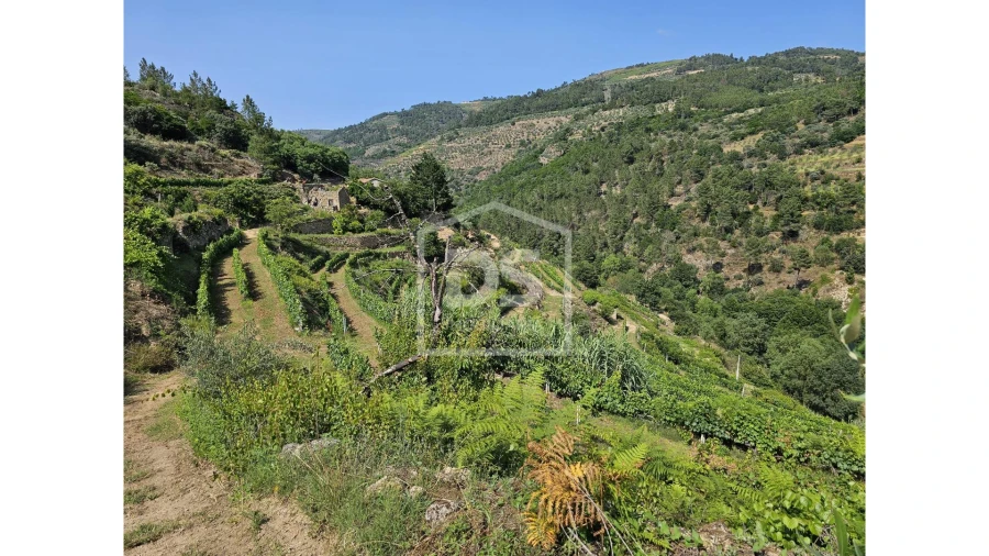 Quinta T0 para Venda em Varzea de Abrunhais Foto 8