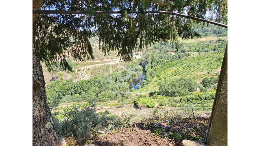 Quinta T0 para Venda em Varzea de Abrunhais Foto 14