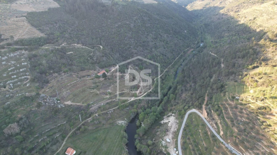 Quinta T0 para Venda em Varzea de Abrunhais Foto 15