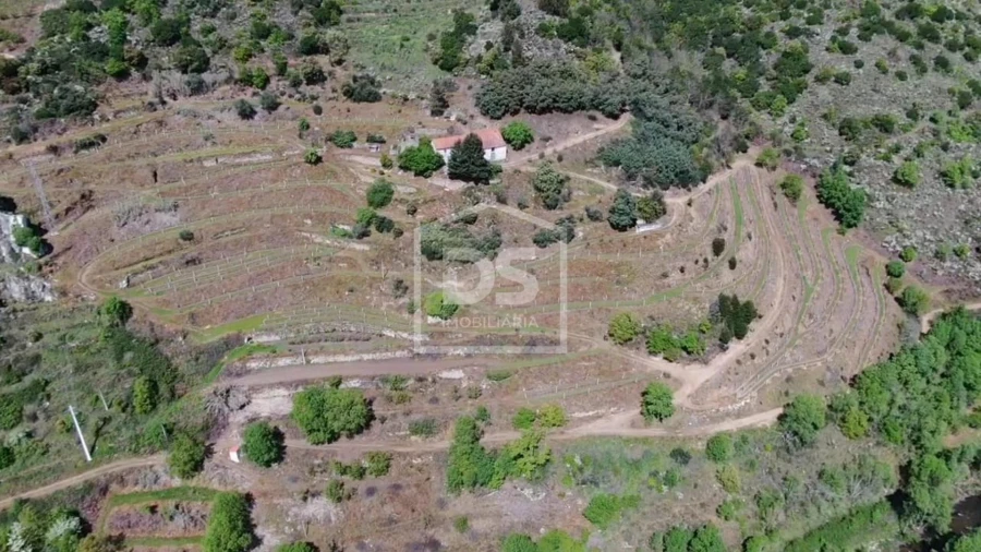 Quinta T0 para Venda em Varzea de Abrunhais Foto 18