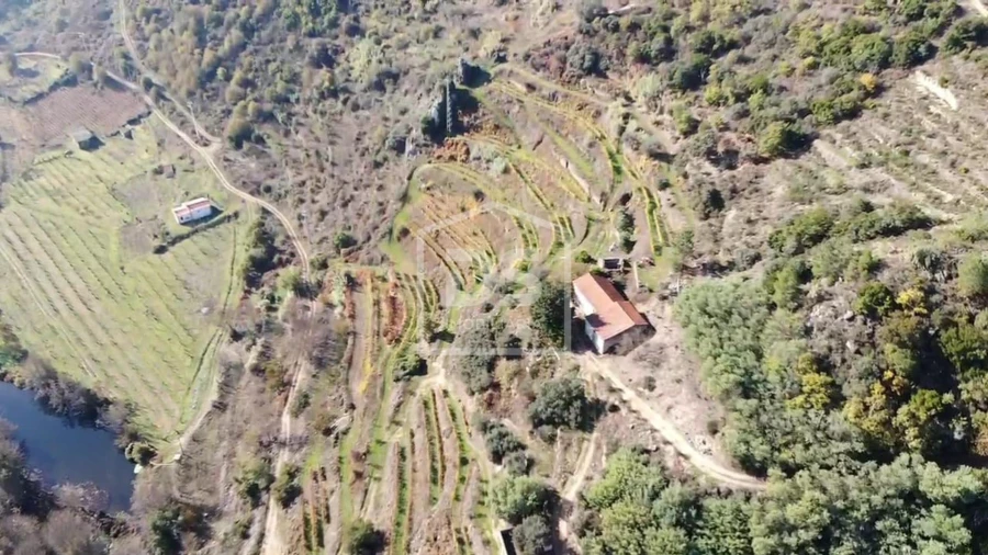 Quinta T0 para Venda em Varzea de Abrunhais Foto 20