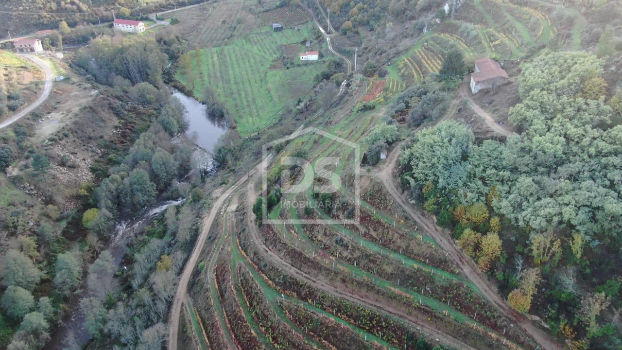 Quinta T0 para Venda em Varzea de Abrunhais Foto 4
