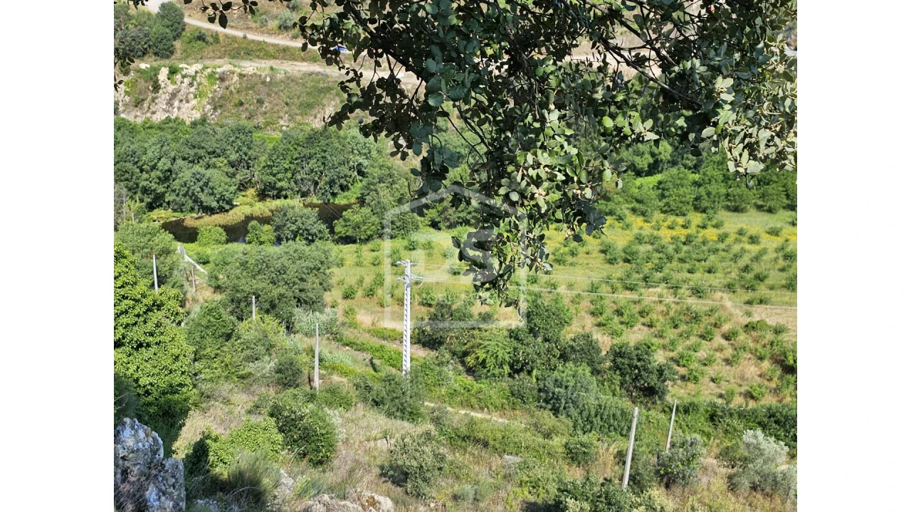 Quinta T0 para Venda em Varzea de Abrunhais Foto 5