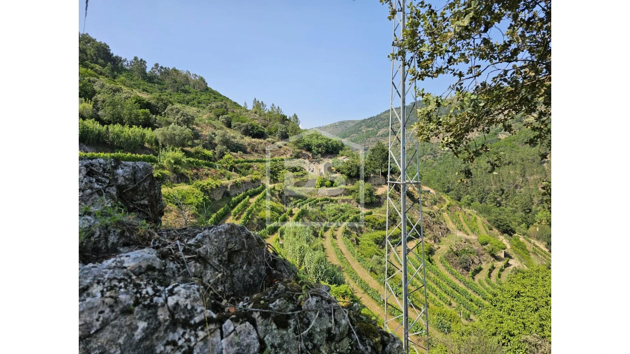 Quinta T0 para Venda em Varzea de Abrunhais Foto 3