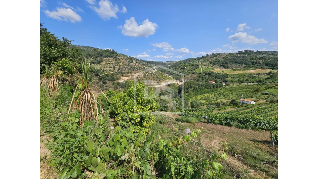 Quinta T0 para Venda em Varzea de Abrunhais Foto 9