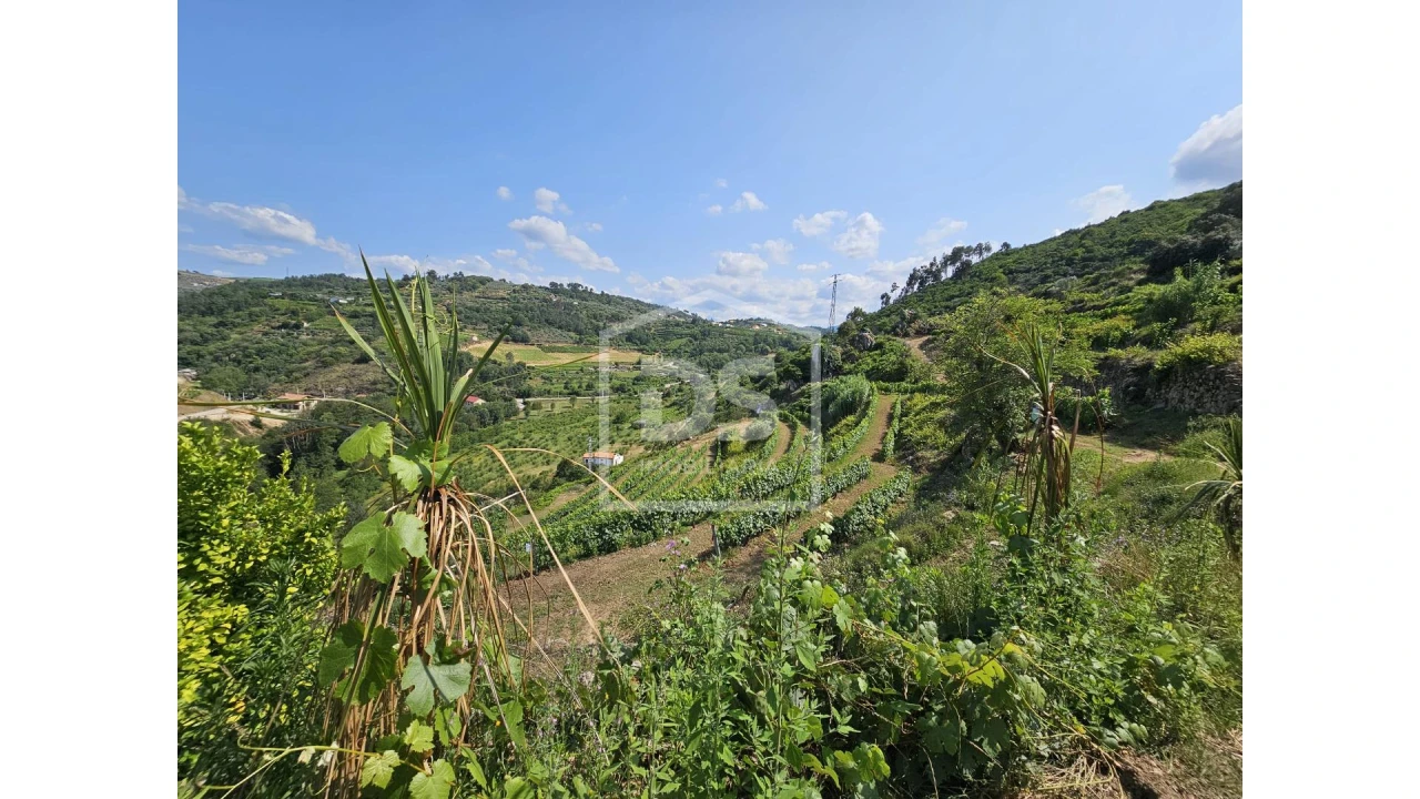 Quinta T0 para Venda em Varzea de Abrunhais Foto 10