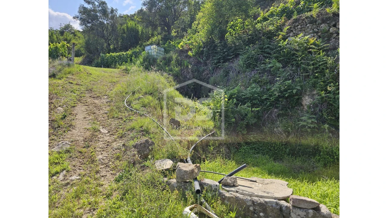 Quinta T0 para Venda em Varzea de Abrunhais Foto 7