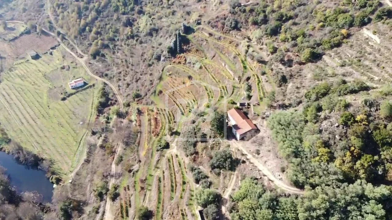 Quinta T0 para Venda em Varzea de Abrunhais Foto 20