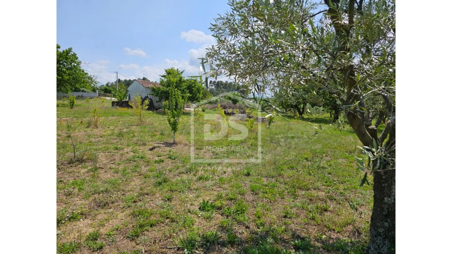 Terreno para Venda em Varzea de Abrunhais Foto 2