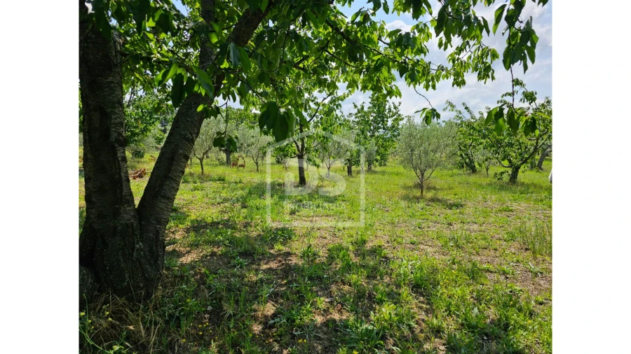 Terreno para Venda em Varzea de Abrunhais Foto 3