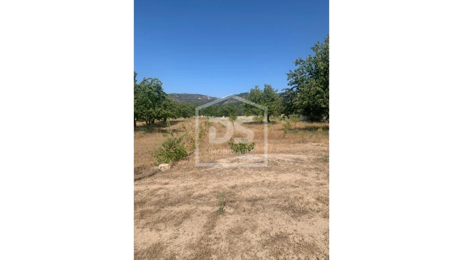 Terreno para Venda em Varzea de Abrunhais Foto 5