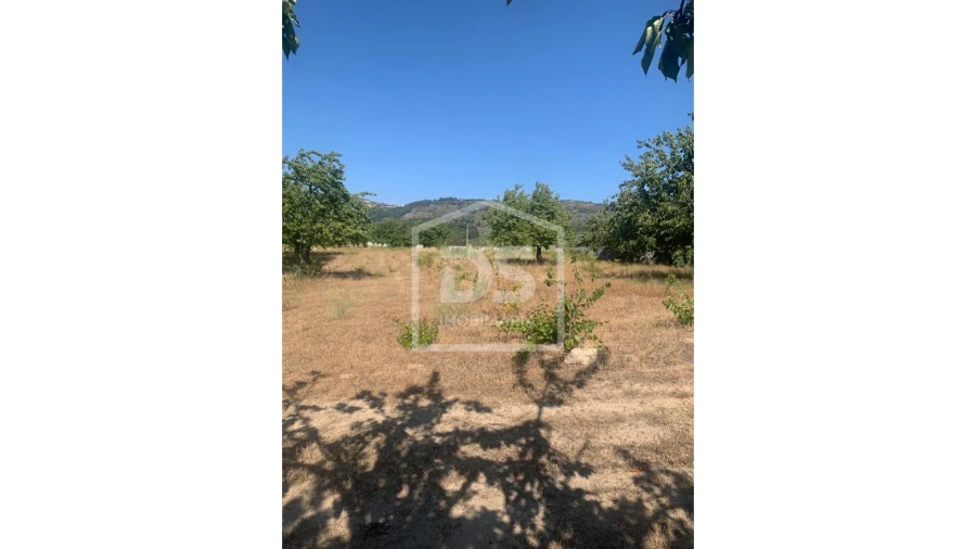 Terreno para Venda em Varzea de Abrunhais Foto 8