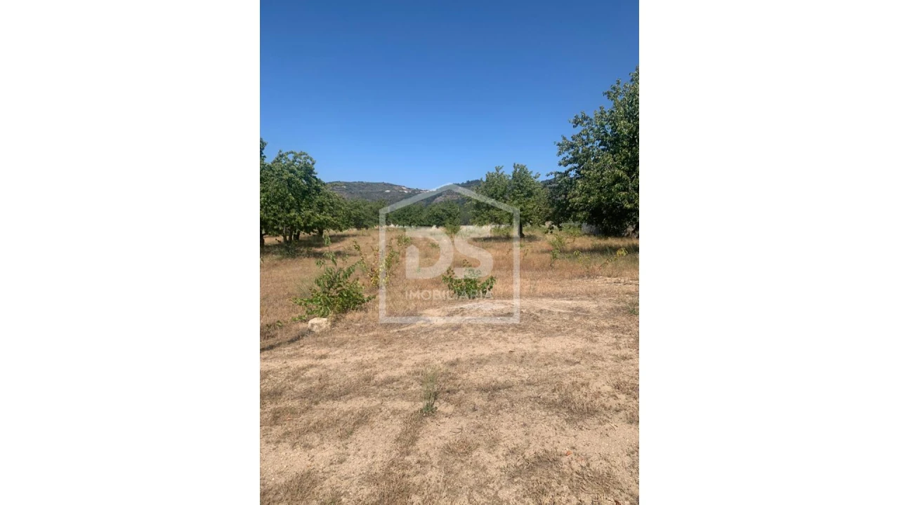 Terreno para Venda em Varzea de Abrunhais Foto 5