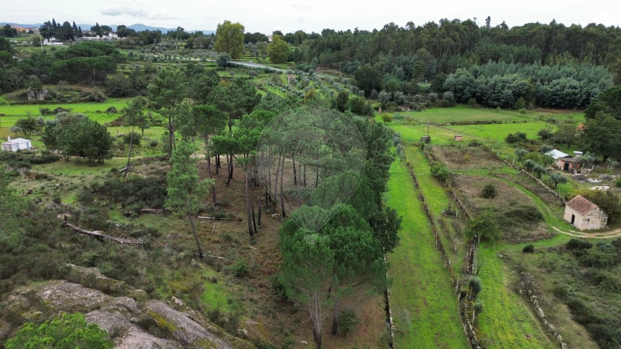 Terreno para Venda em Paranhos Foto 4