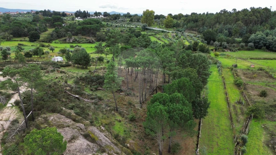 Terreno para Venda em Paranhos Foto 6
