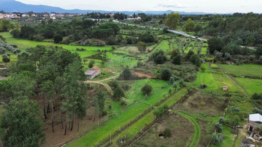 Terreno para Venda em Paranhos Foto 2