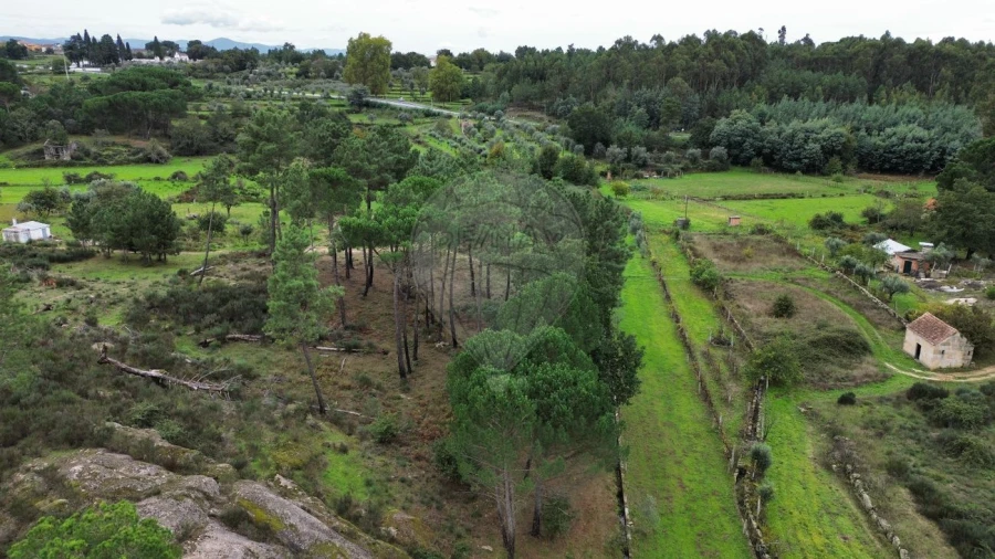 Terreno para Venda em Paranhos Foto 4