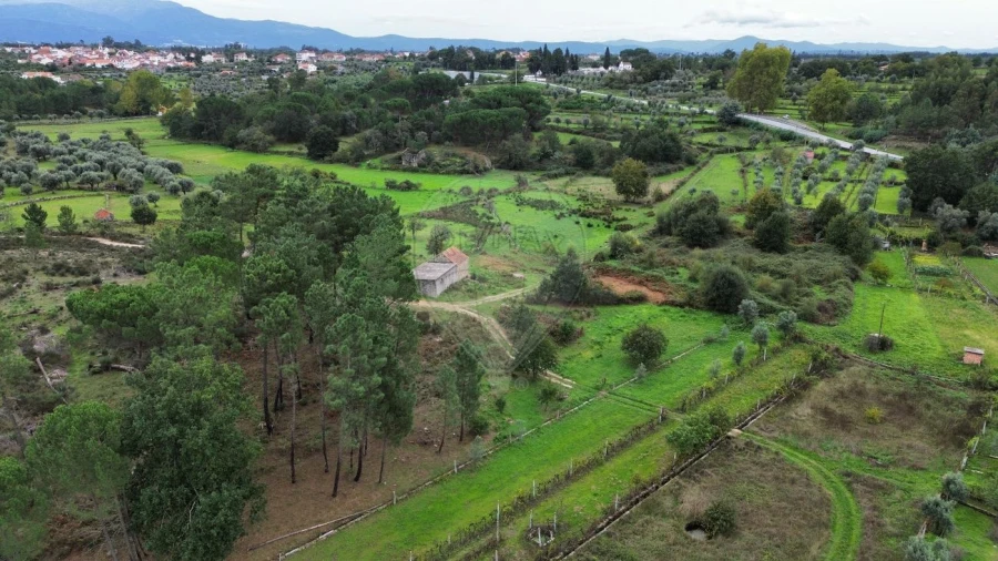 Terreno para Venda em Paranhos