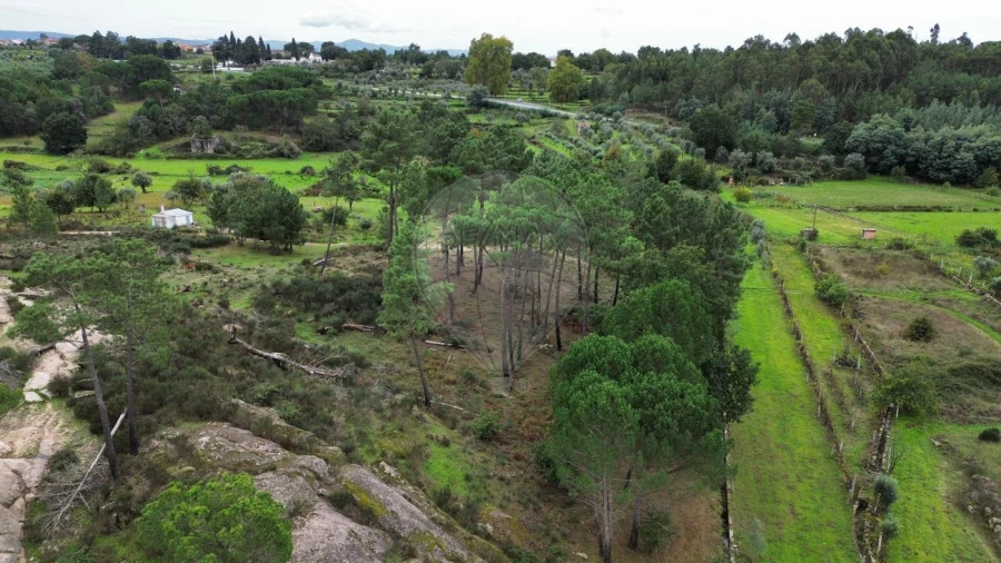 Terreno para Venda em Paranhos Foto 5