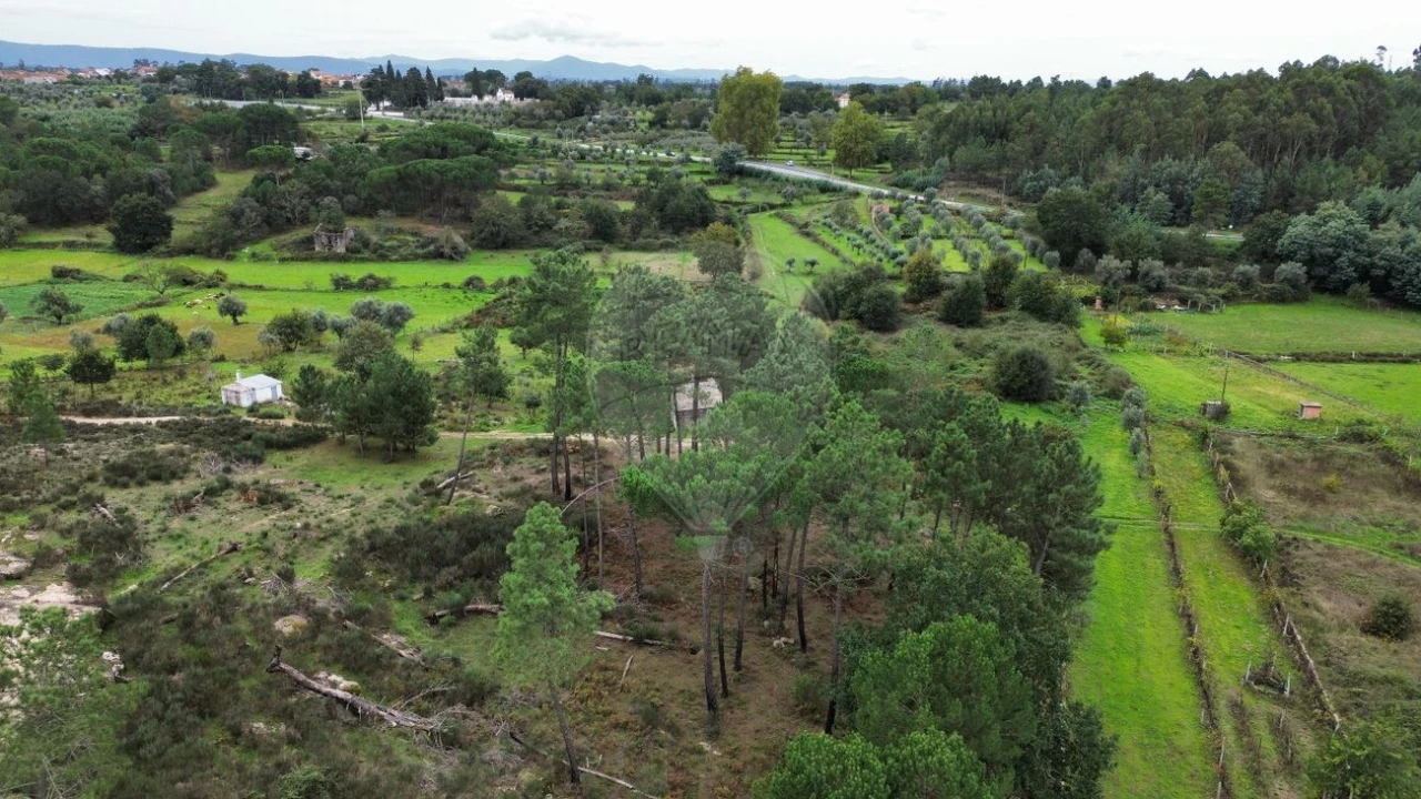 Terreno para Venda em Paranhos Foto 3