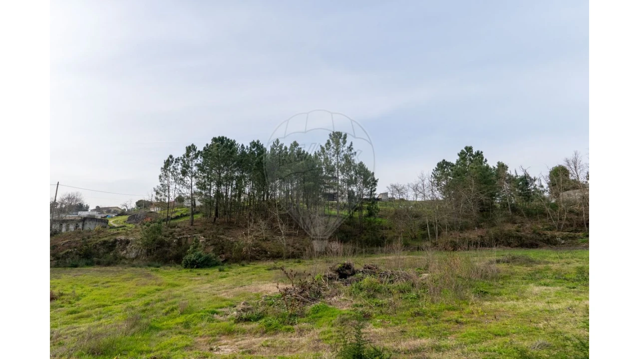 Terreno para Venda em Várzea, Aliviada e Folhada Foto 17