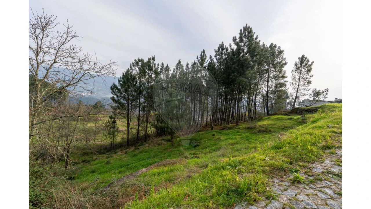 Terreno para Venda em Várzea, Aliviada e Folhada Foto 19
