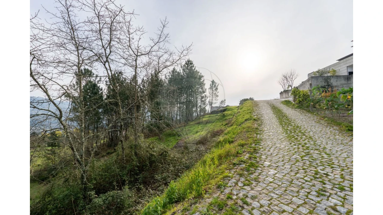 Terreno para Venda em Várzea, Aliviada e Folhada Foto 18