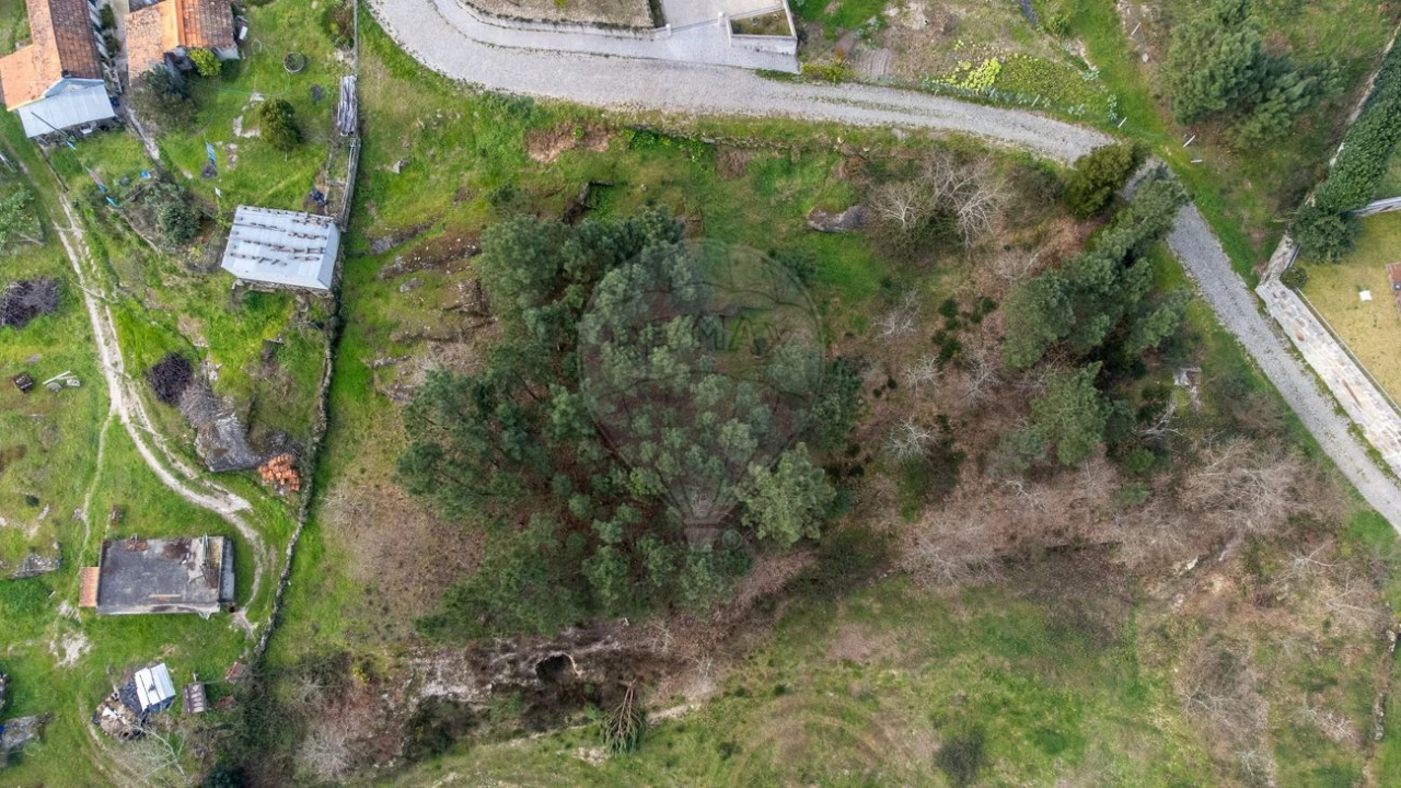 Terreno para Venda em Várzea, Aliviada e Folhada Foto 6