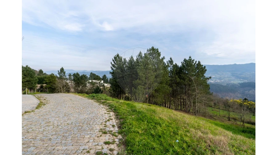 Terreno para Venda em Várzea, Aliviada e Folhada Foto 12