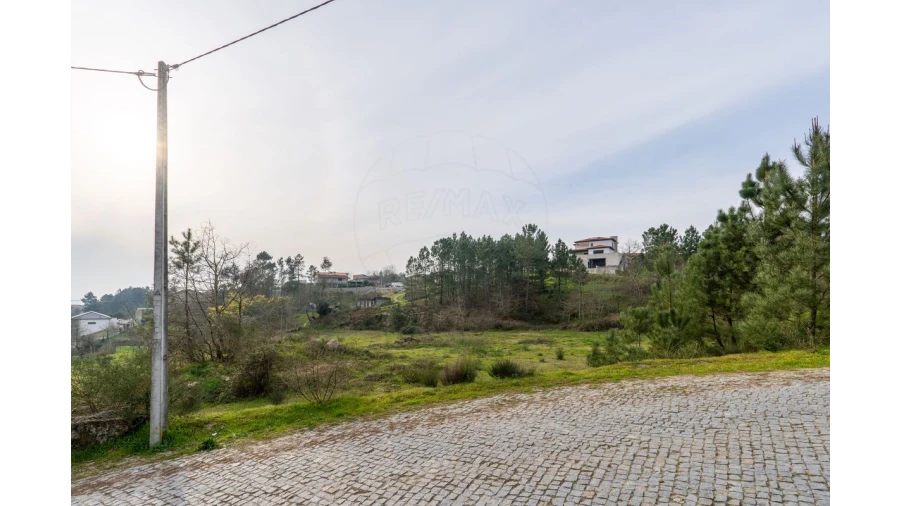 Terreno para Venda em Várzea, Aliviada e Folhada Foto 16