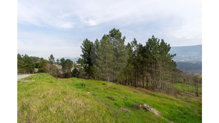 Terreno para Venda em Várzea, Aliviada e Folhada Foto 13