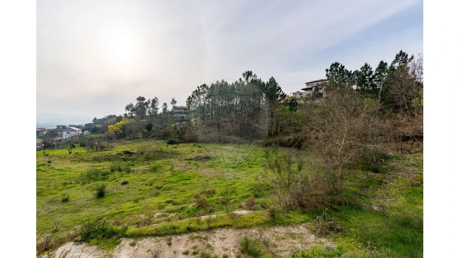 Terreno para Venda em Várzea, Aliviada e Folhada Foto 15