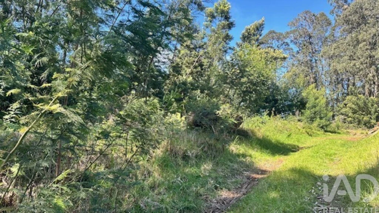 Terreno para Venda em Arco de São Jorge Foto 7